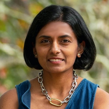 Vidya Setlur